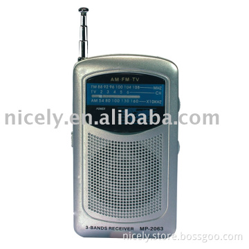 AM/FM two band radio with speaker and antenna